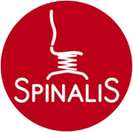 Spinalis